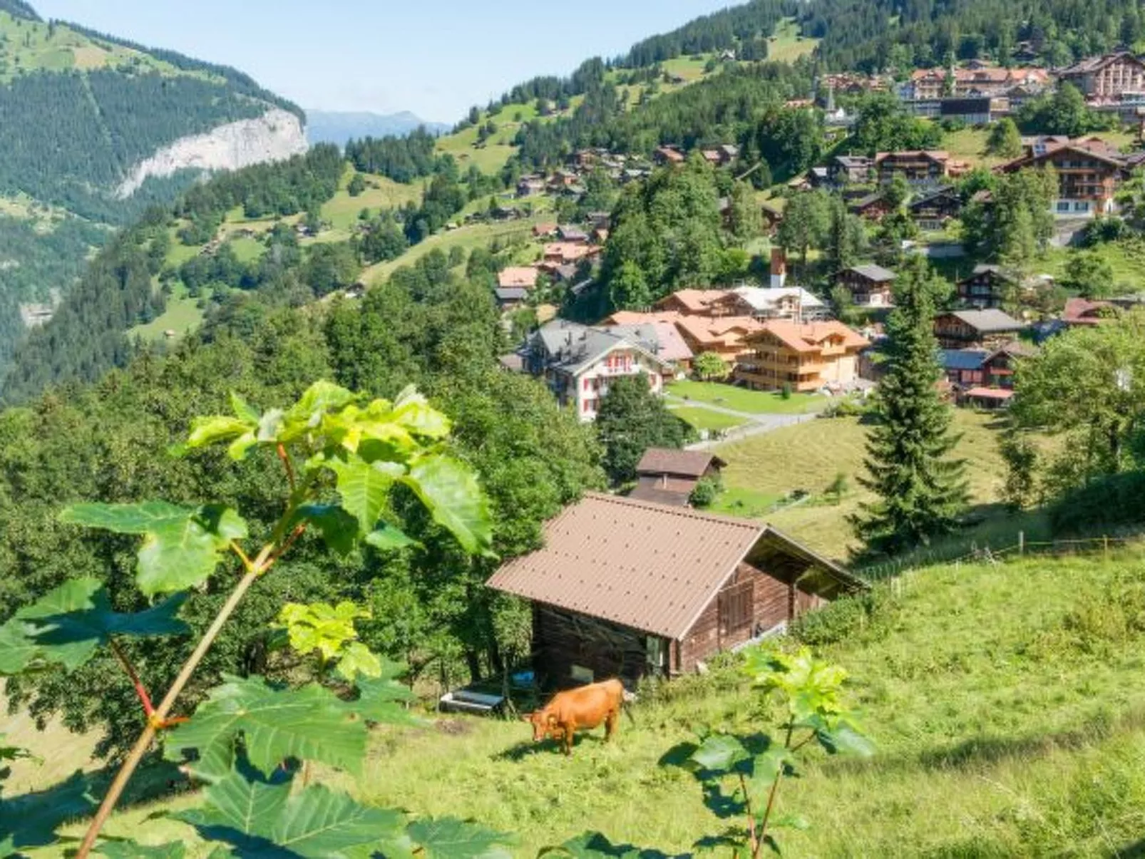 Panoramapark Soleil Camelia Apt. Silverpeak - Buiten