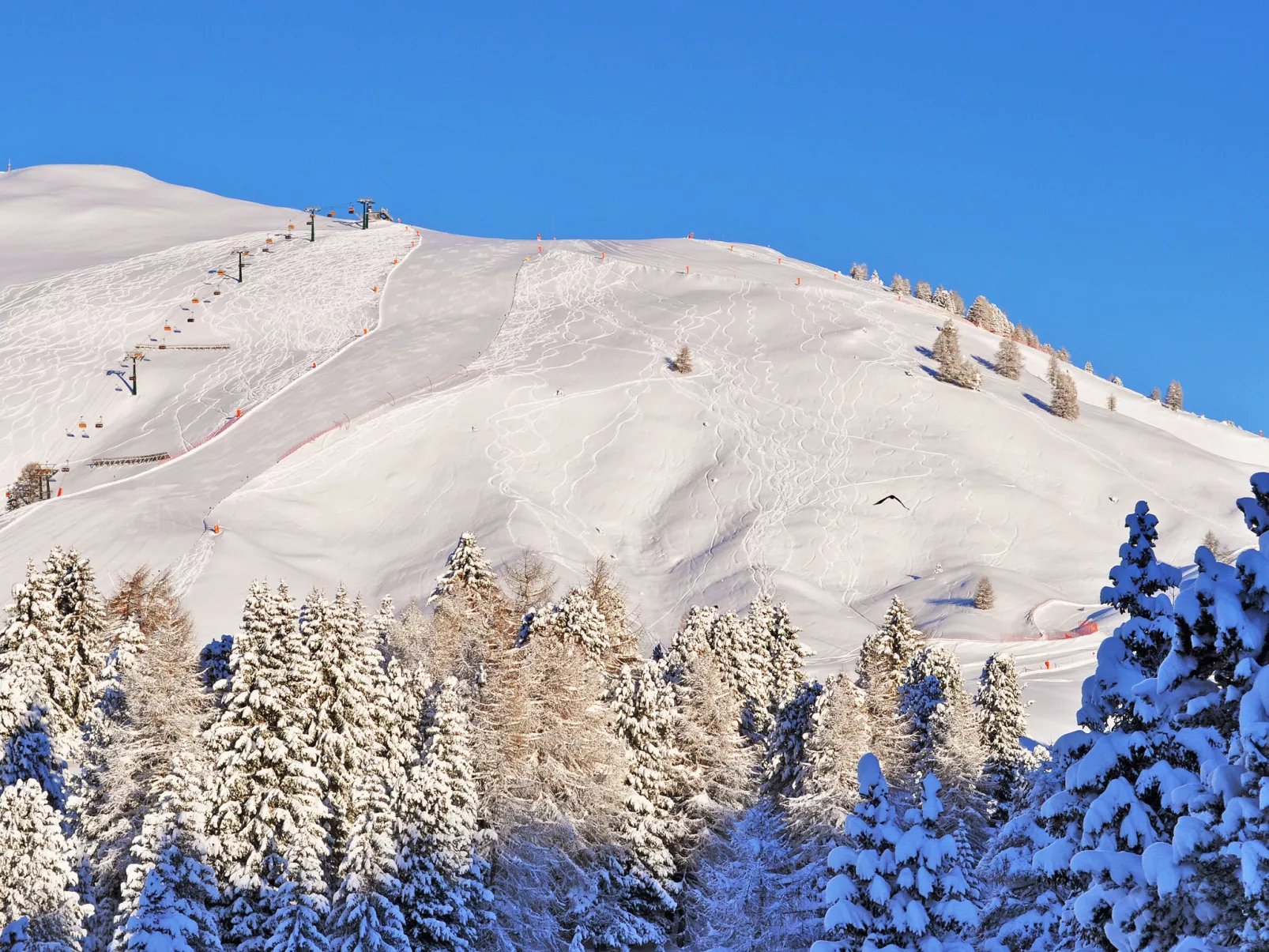 Altavista - Omgeving