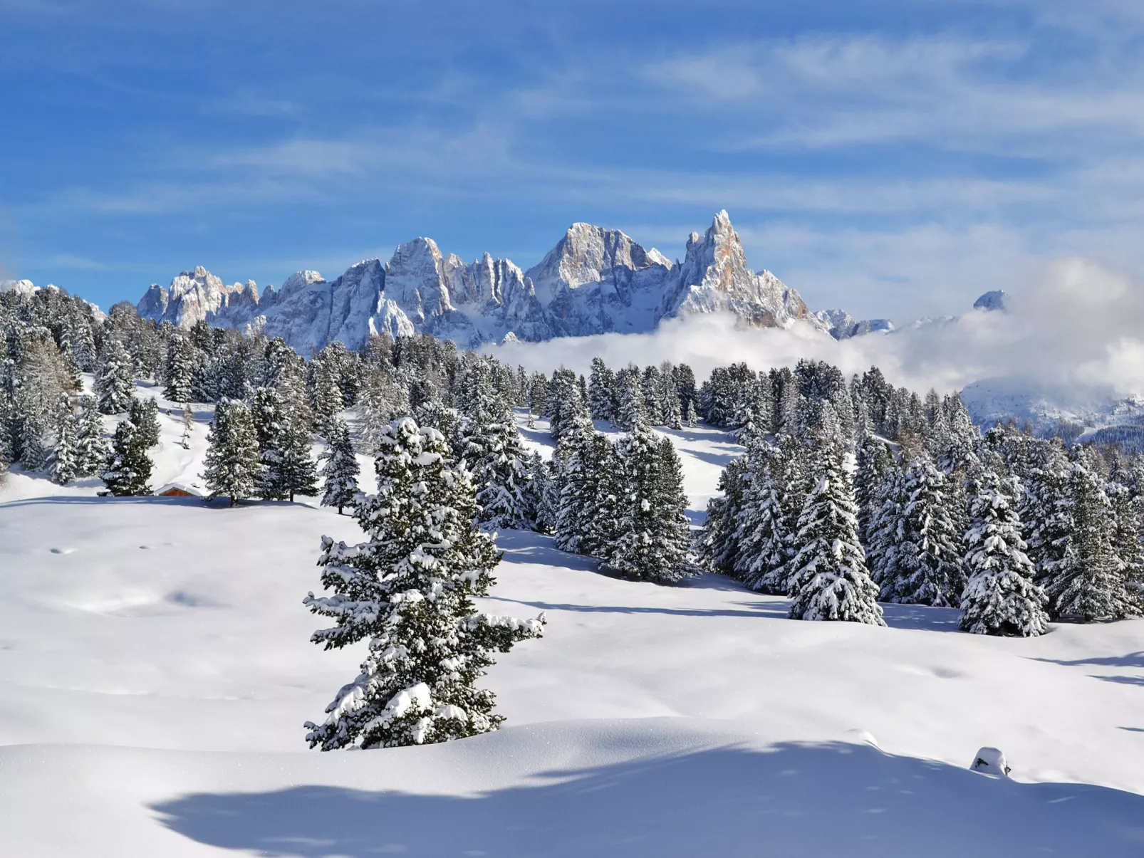 Altavista - Omgeving