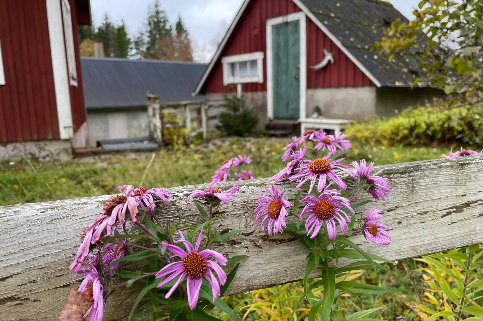 13 persoons vakantie huis in KYRKHULT-By Traum-Buitenlucht
