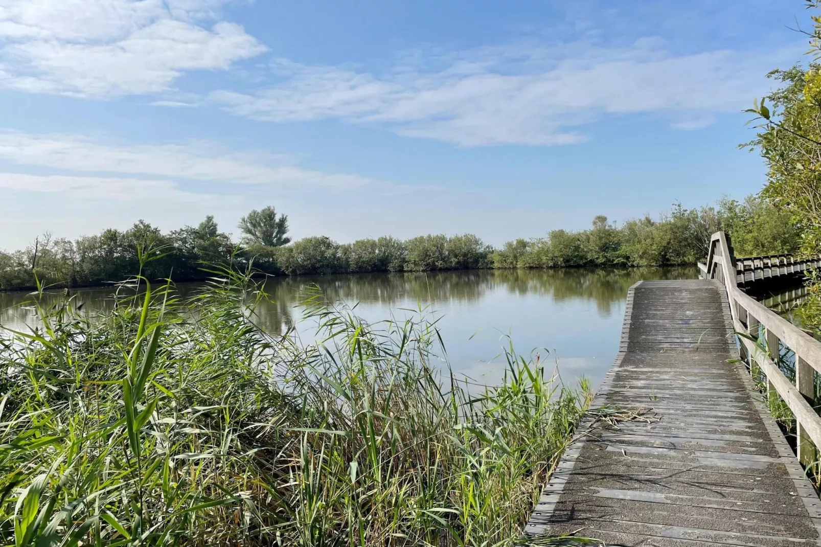 Dromen in de duinen - 51 - Gebieden zomer 5km
