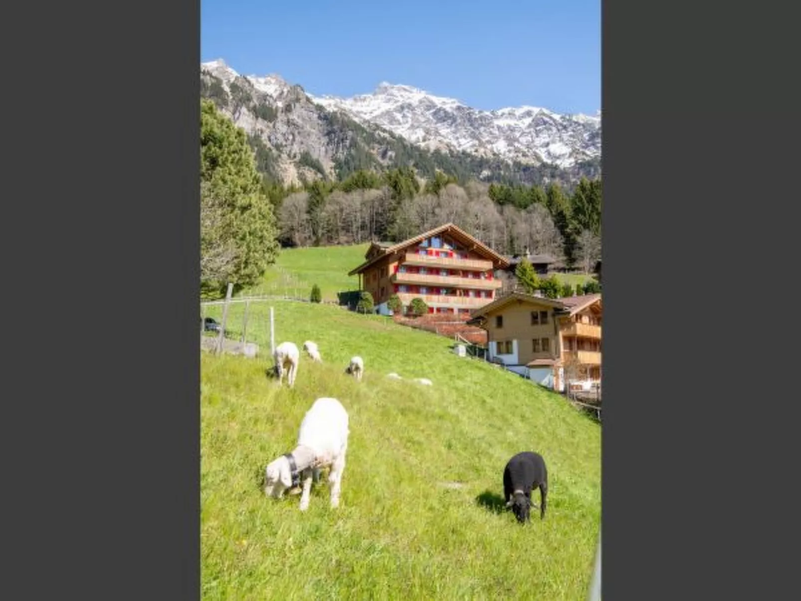 Chalet Bärgsunna - Buiten