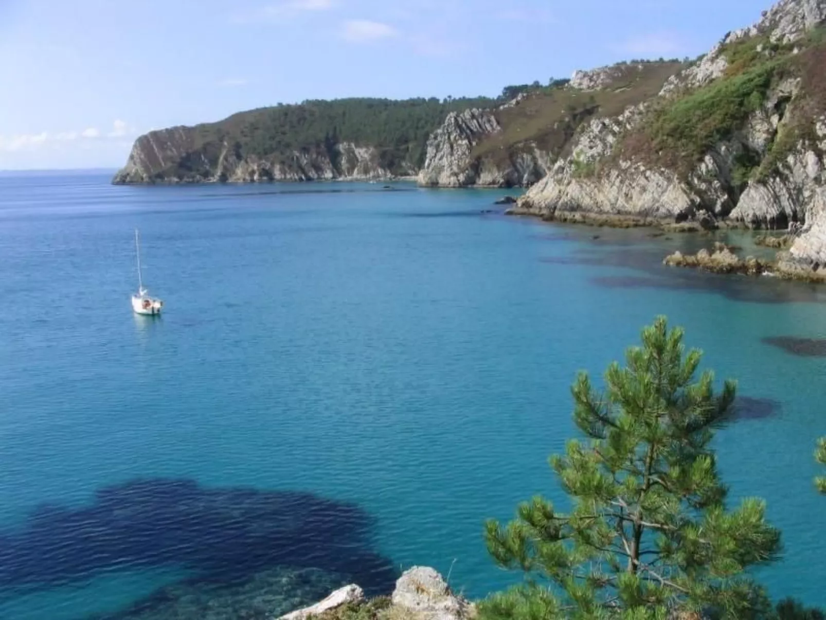 "Les Hortensias" (Die Hortensien) - Image-tags.info