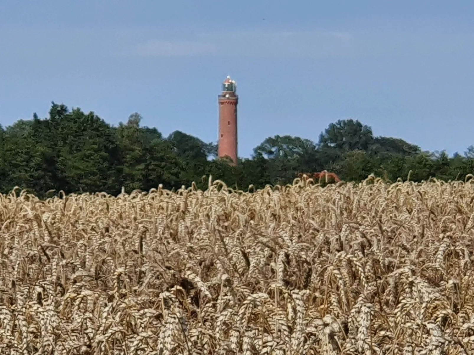 "Ferienwohnung" mitten im Grünen - Buiten