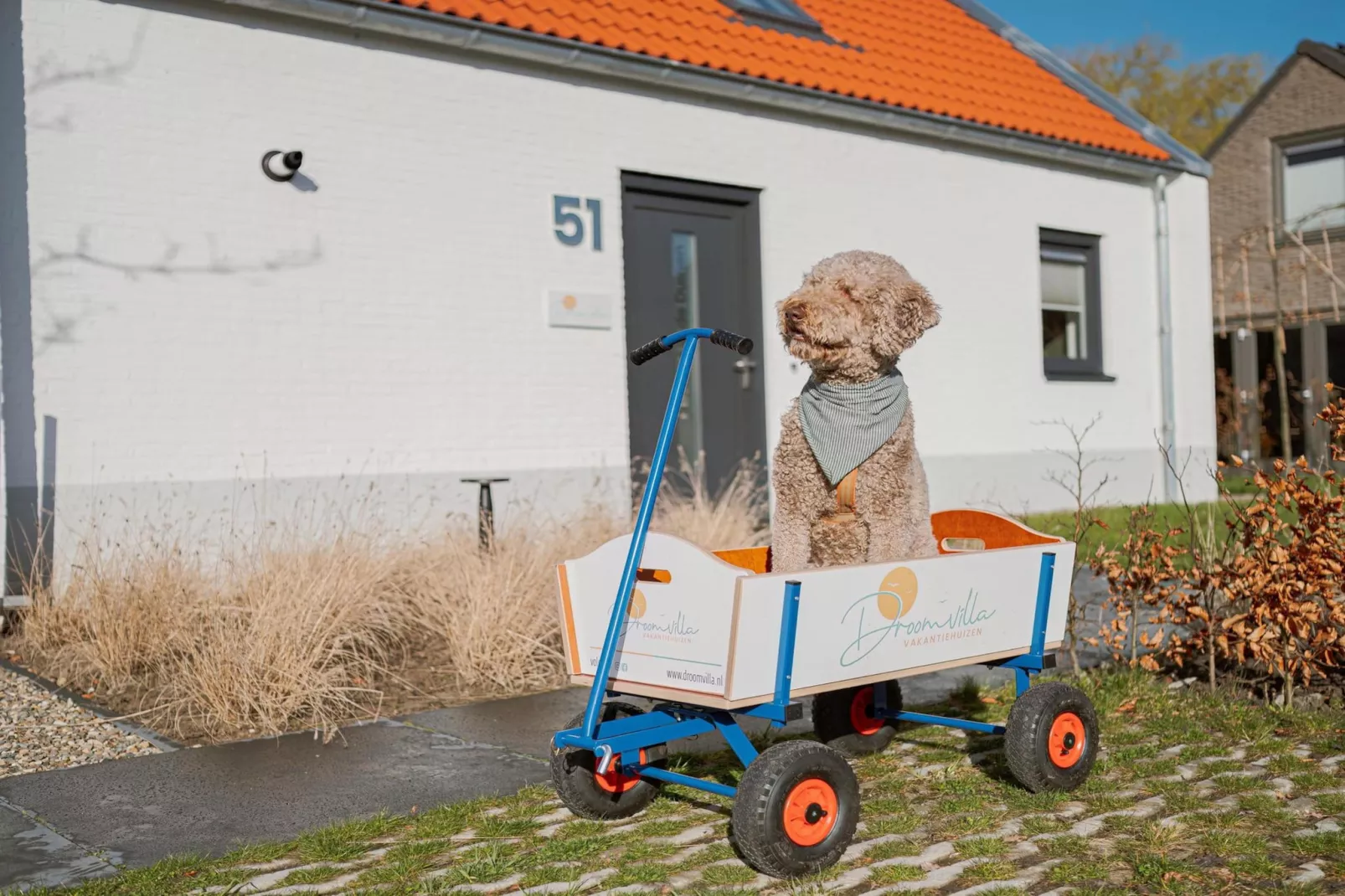 Dromen in de duinen - 51 - Sfeer
