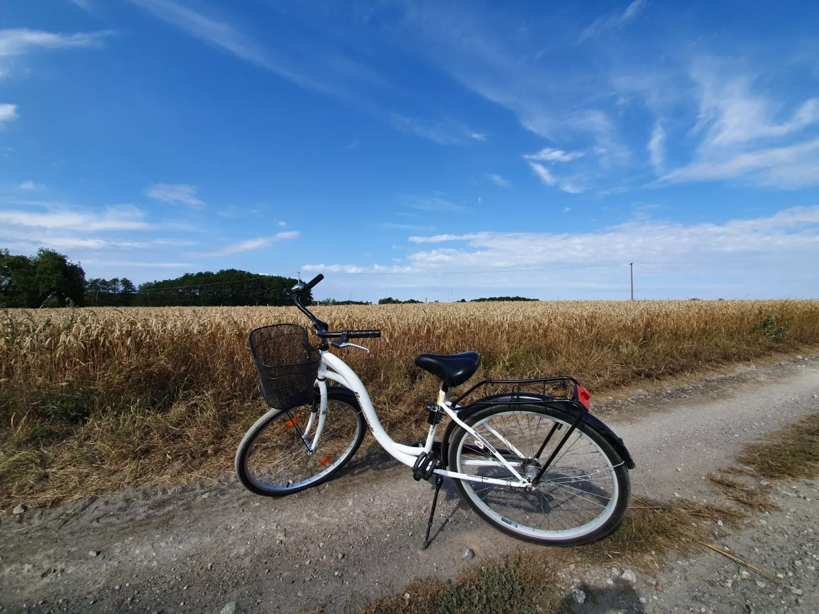 "Ferienwohnung" mitten im Grünen - Buiten