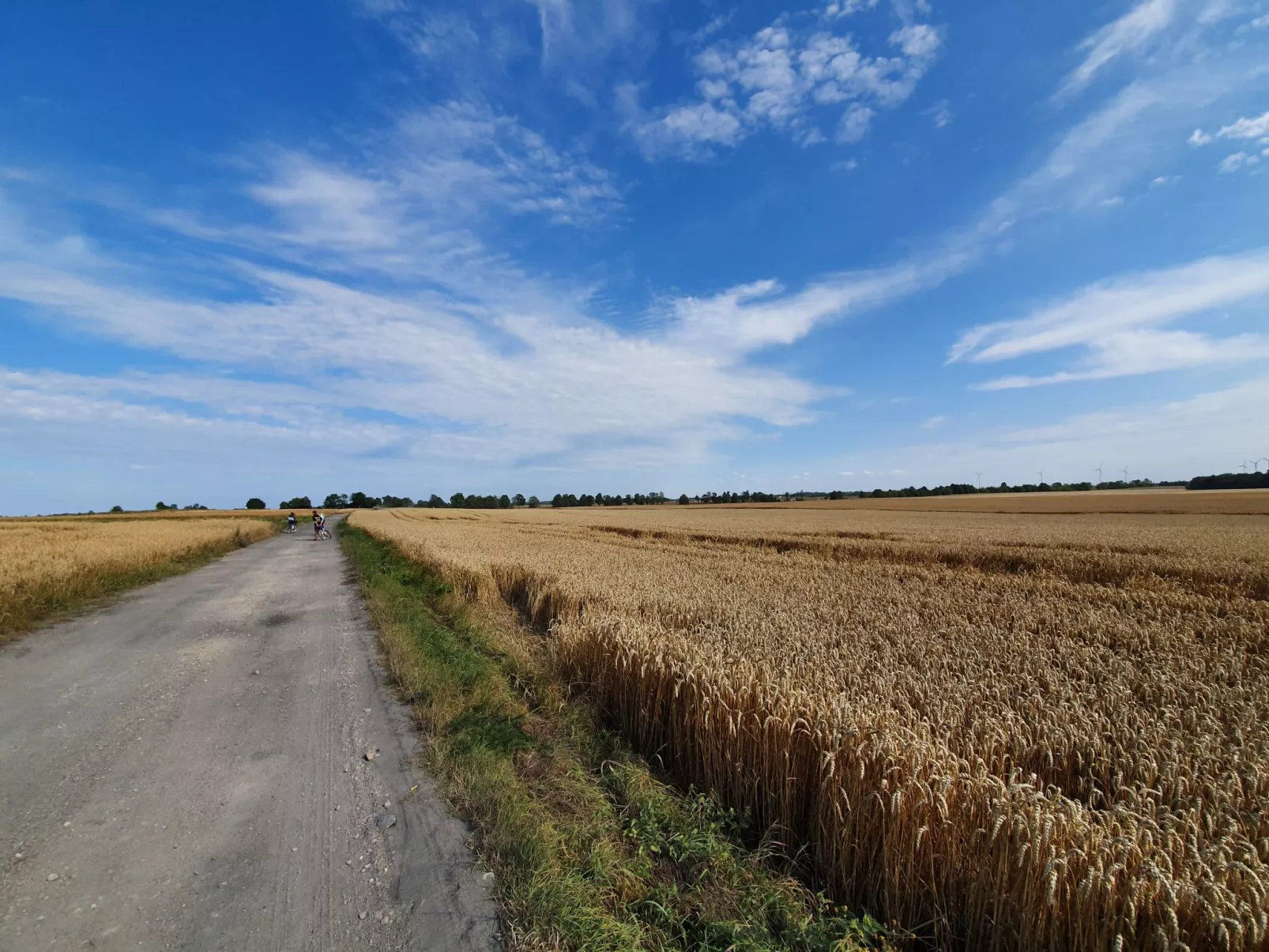 "Ferienwohnung" mitten im Grünen - Buiten