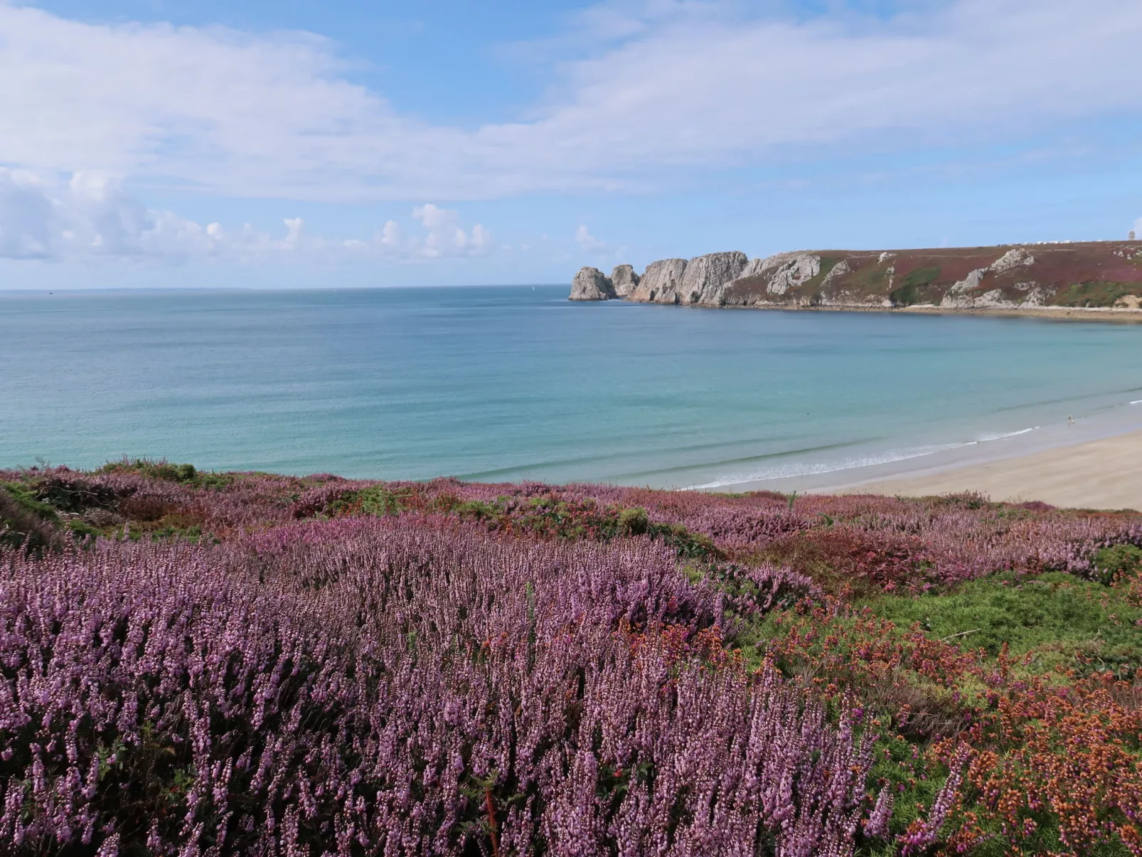 "Les Hortensias" (Die Hortensien) - Omgeving