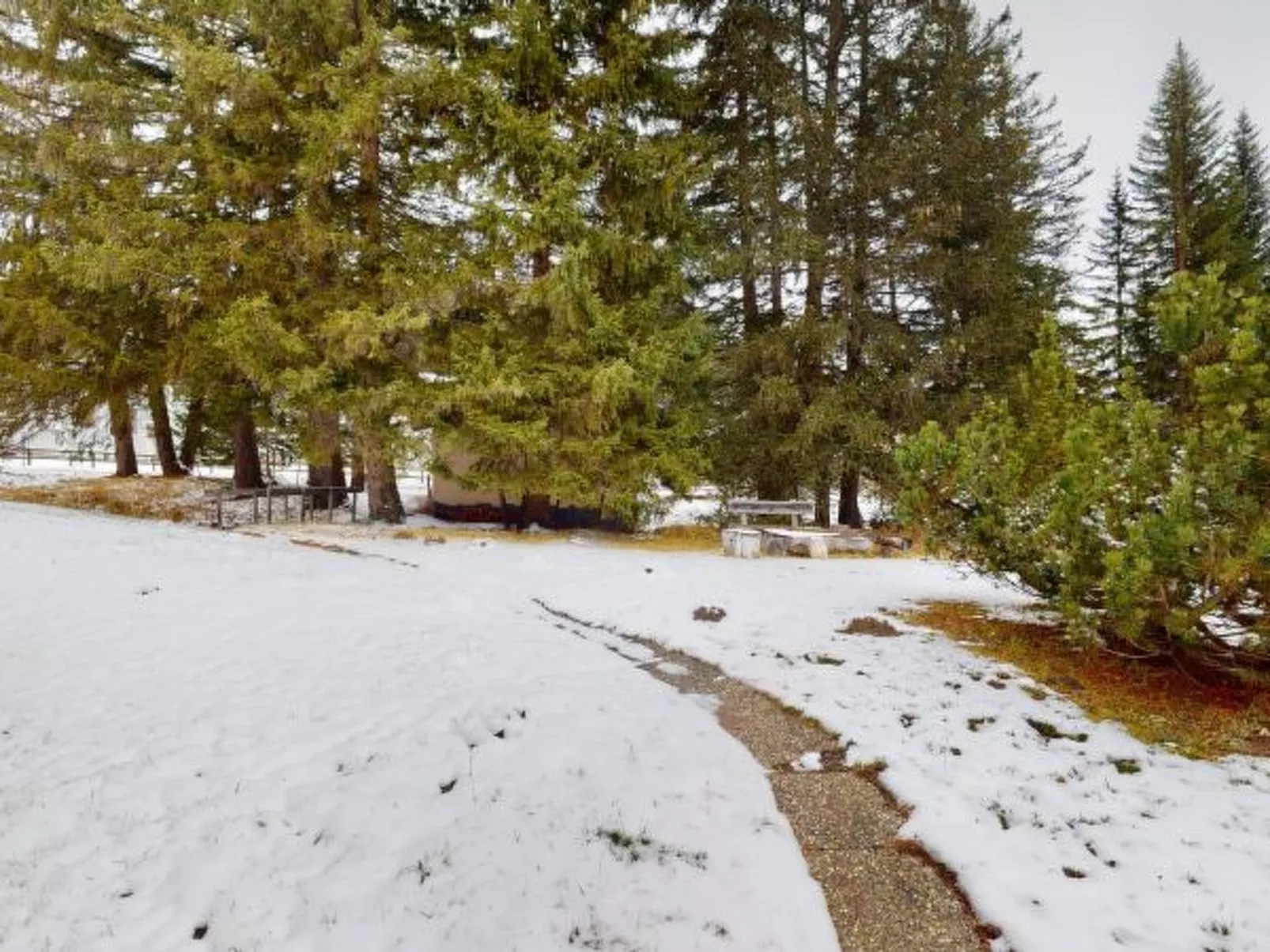 Familien Ferienwohnung Palois - Lenzerheide Zentrum - Buiten