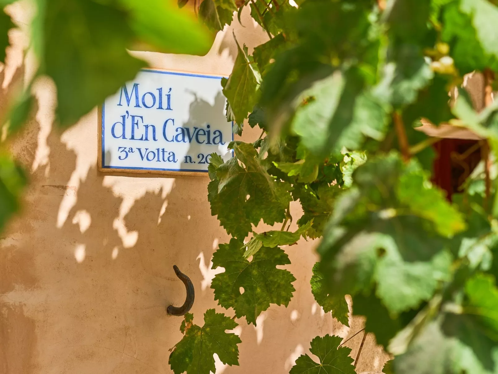 Moli den Cavea - Image-tags.info