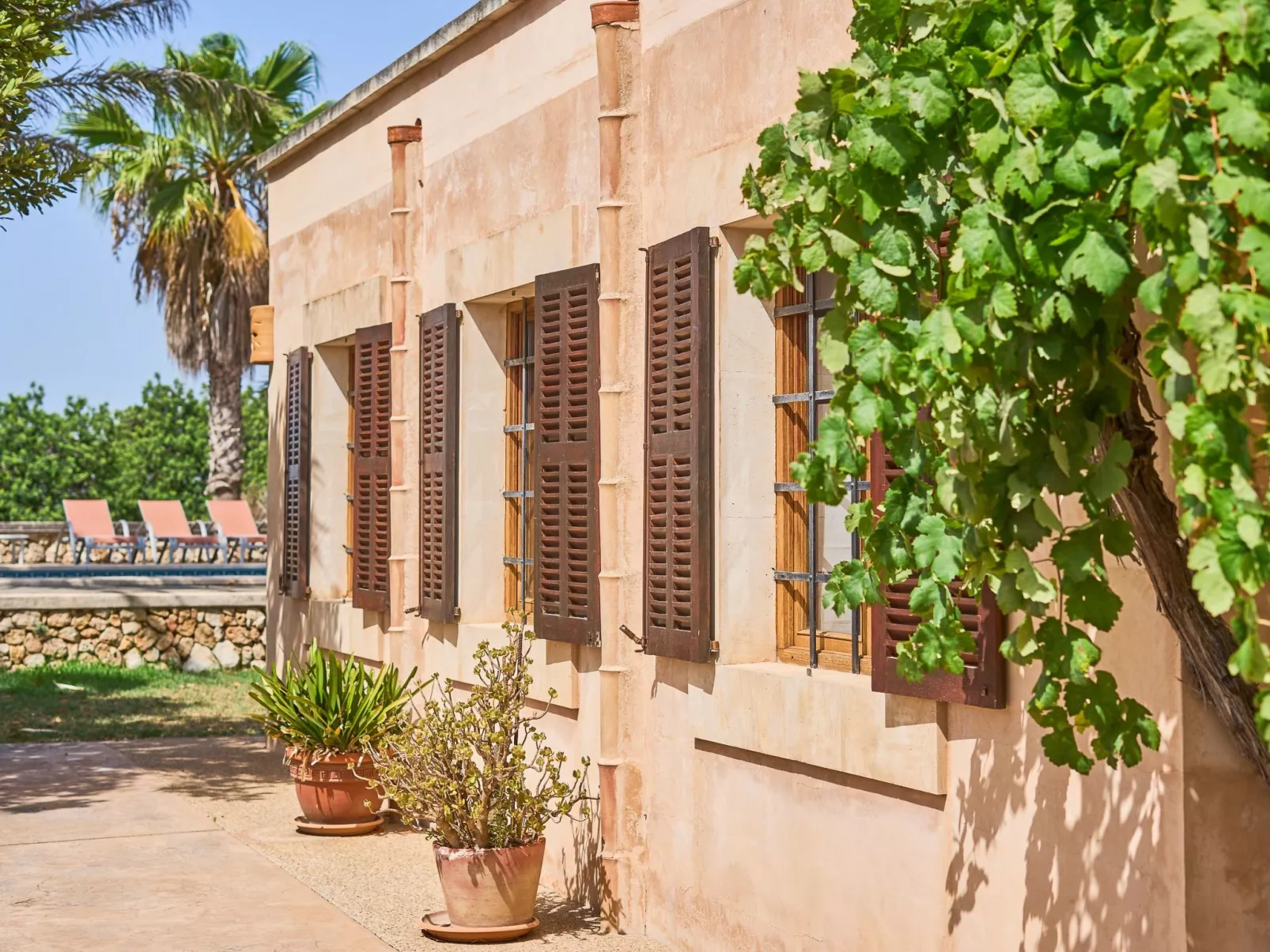 Moli den Cavea - Image-tags.info