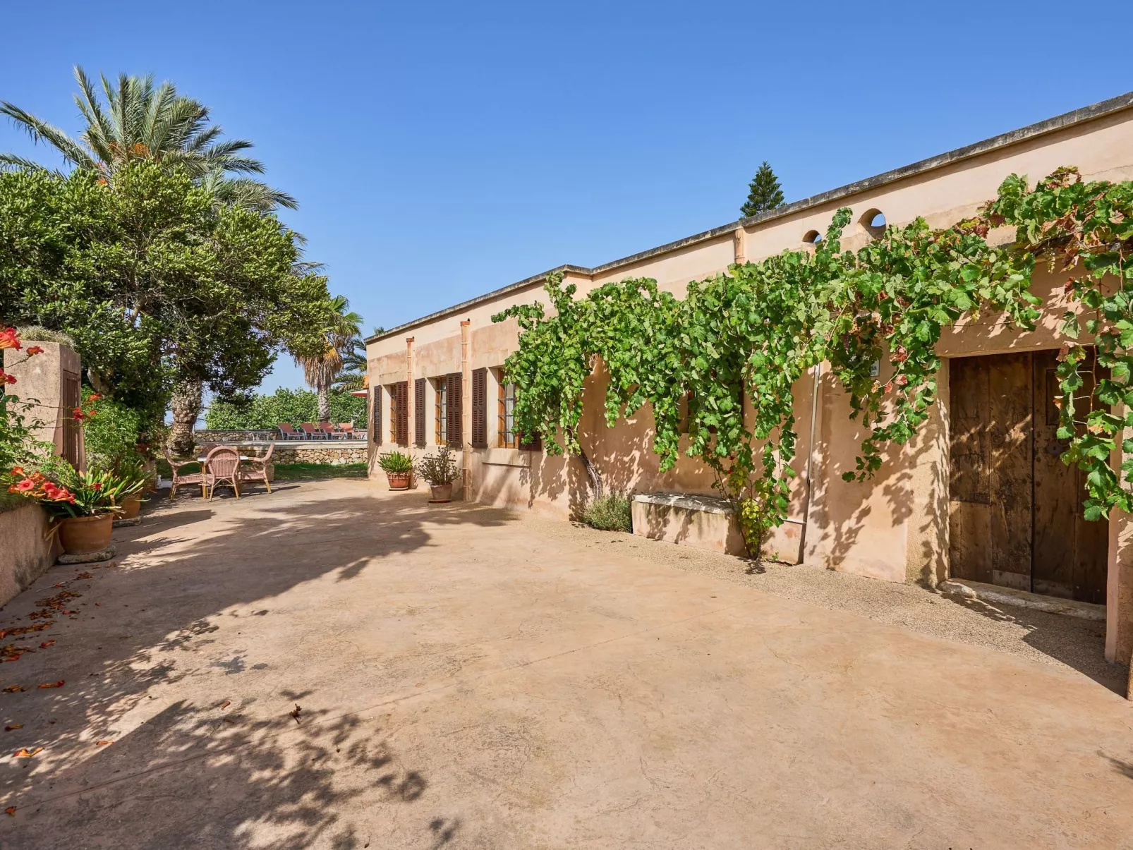 Moli den Cavea - Image-tags.info