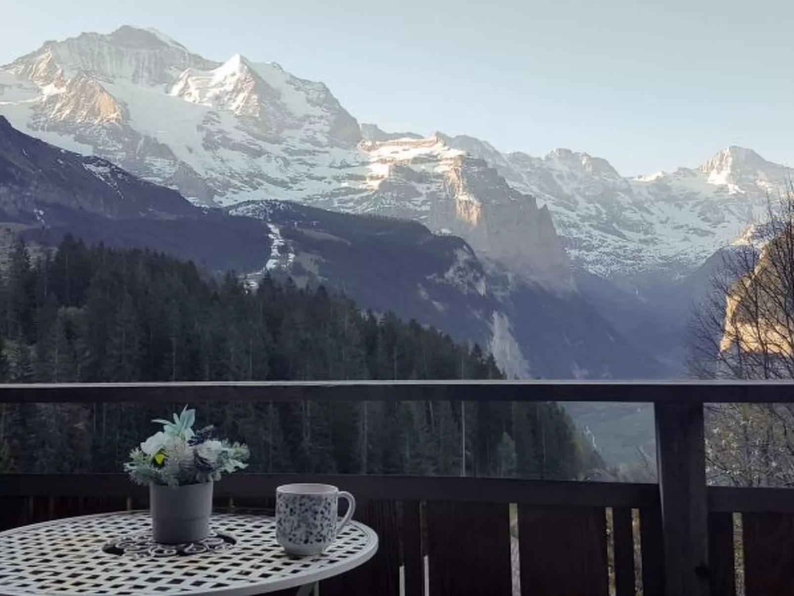 Chalet Ledibach - Buiten