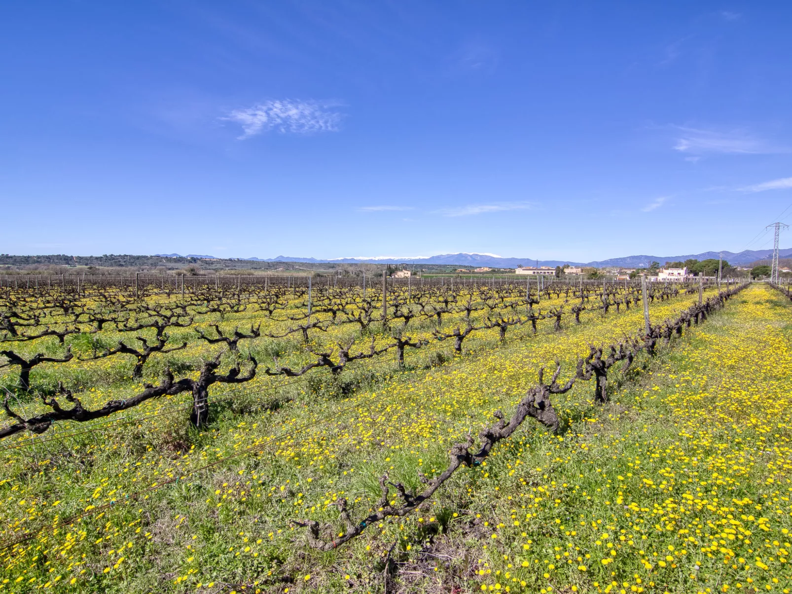 Ca l'Andreu - Omgeving