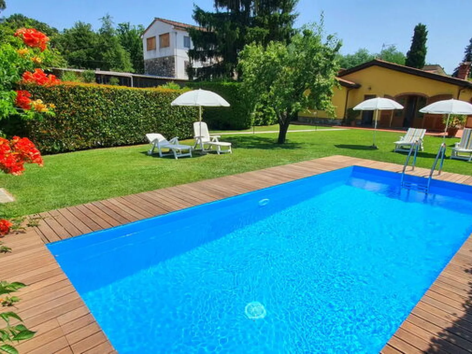 La Capannella Del Cinema