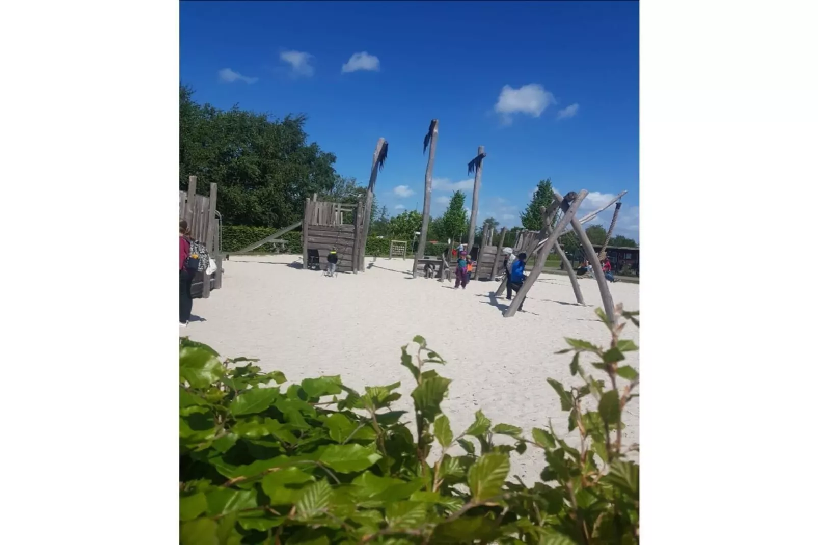 456395 - Tuinen zomer