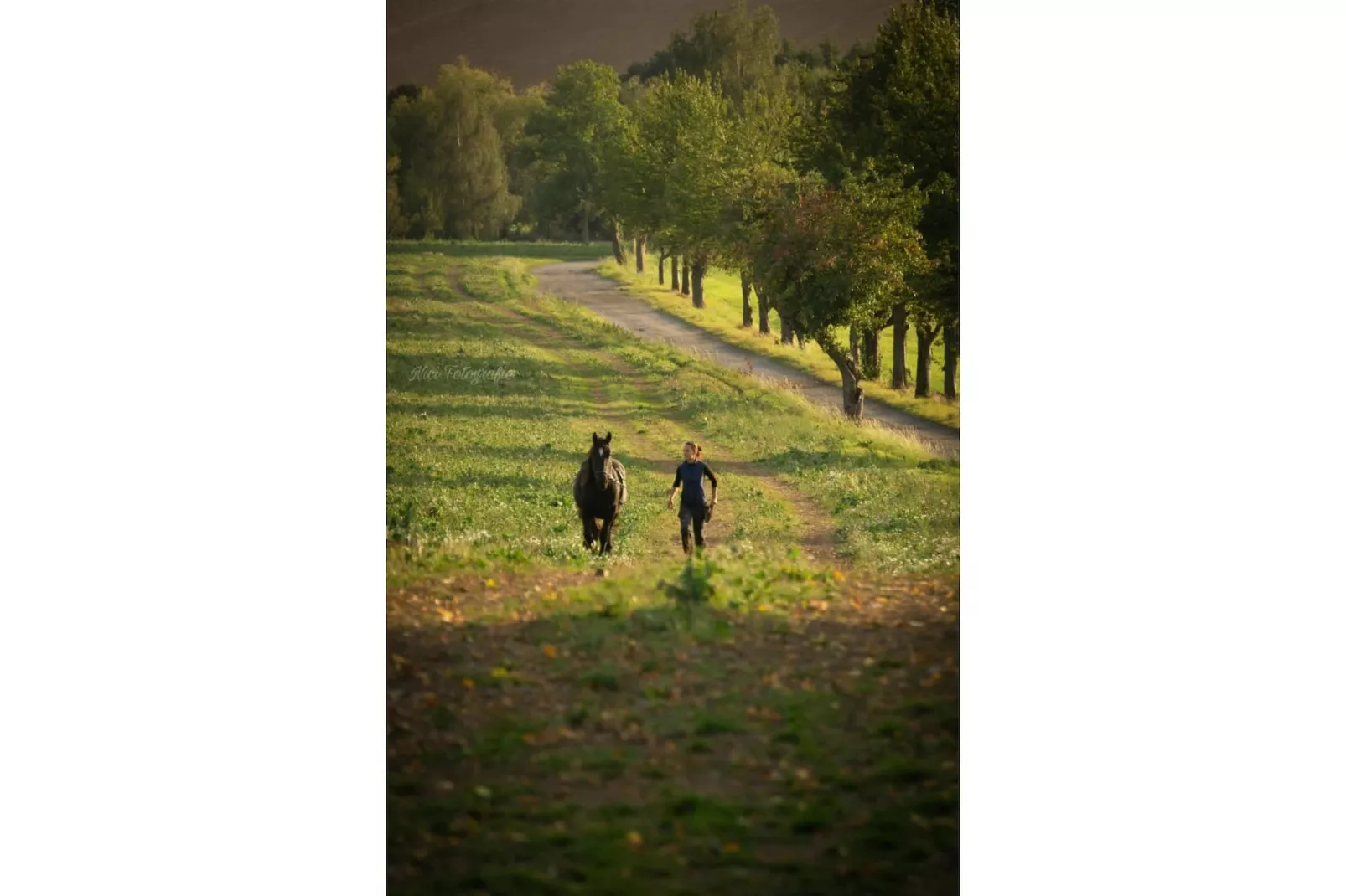 TH1 - Gebieden zomer 1km
