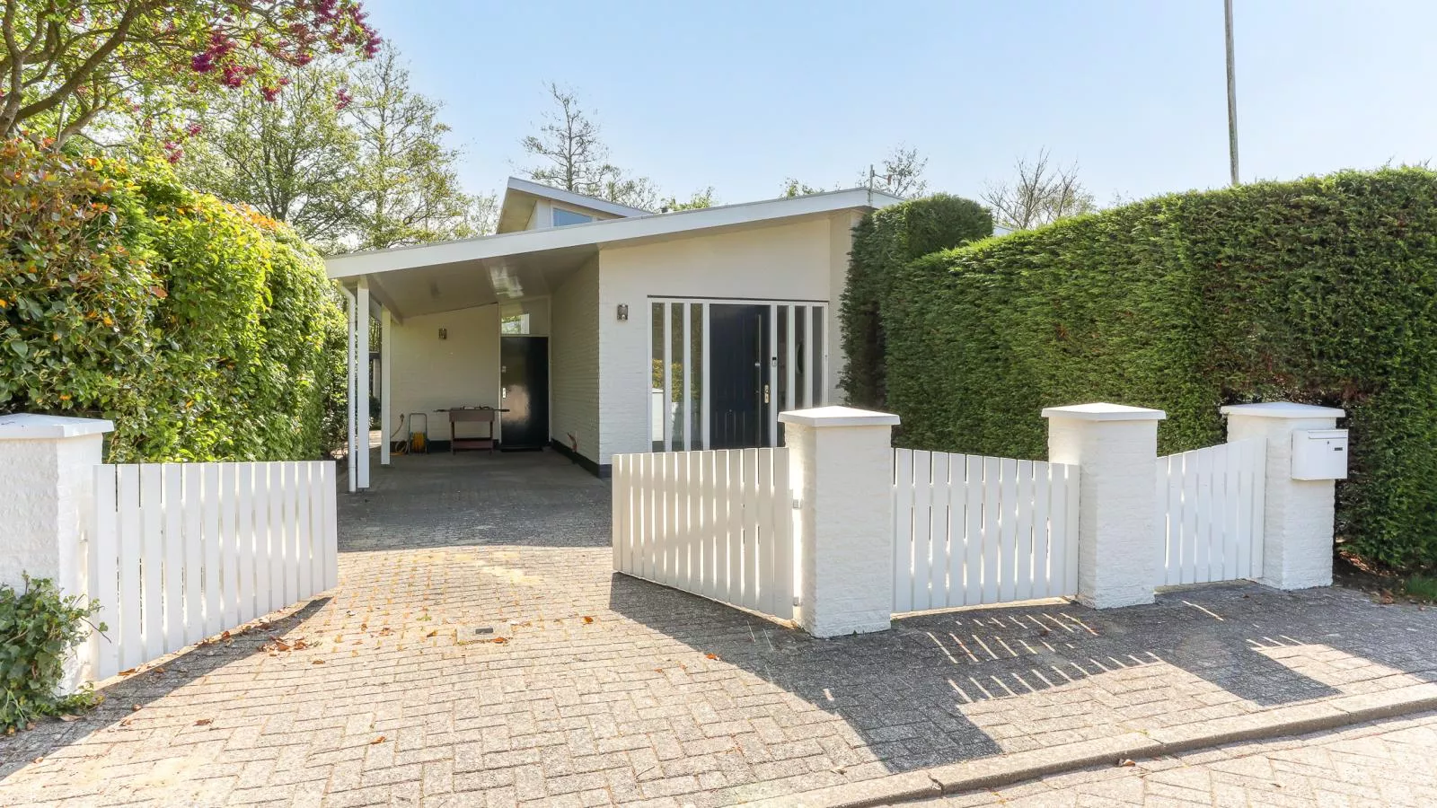 Zilte Iep - Buitenkant zomer