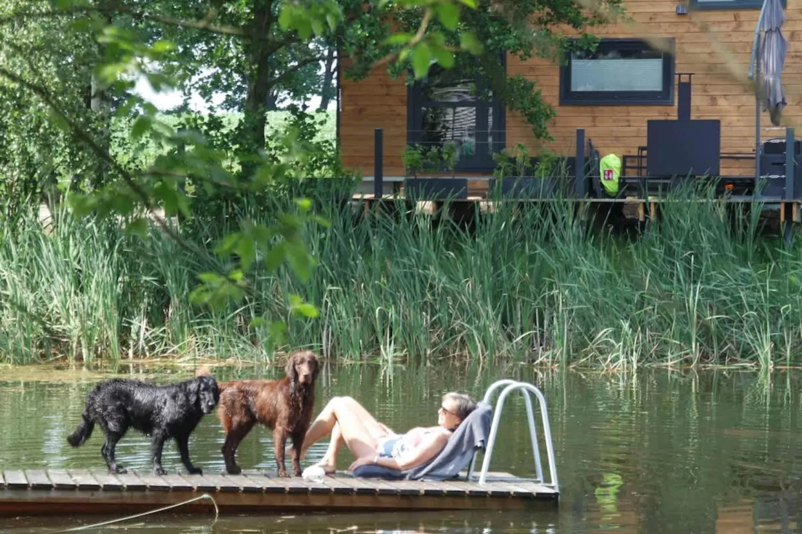 TH1 4P+20€(5) Immer - Uitzicht zomer