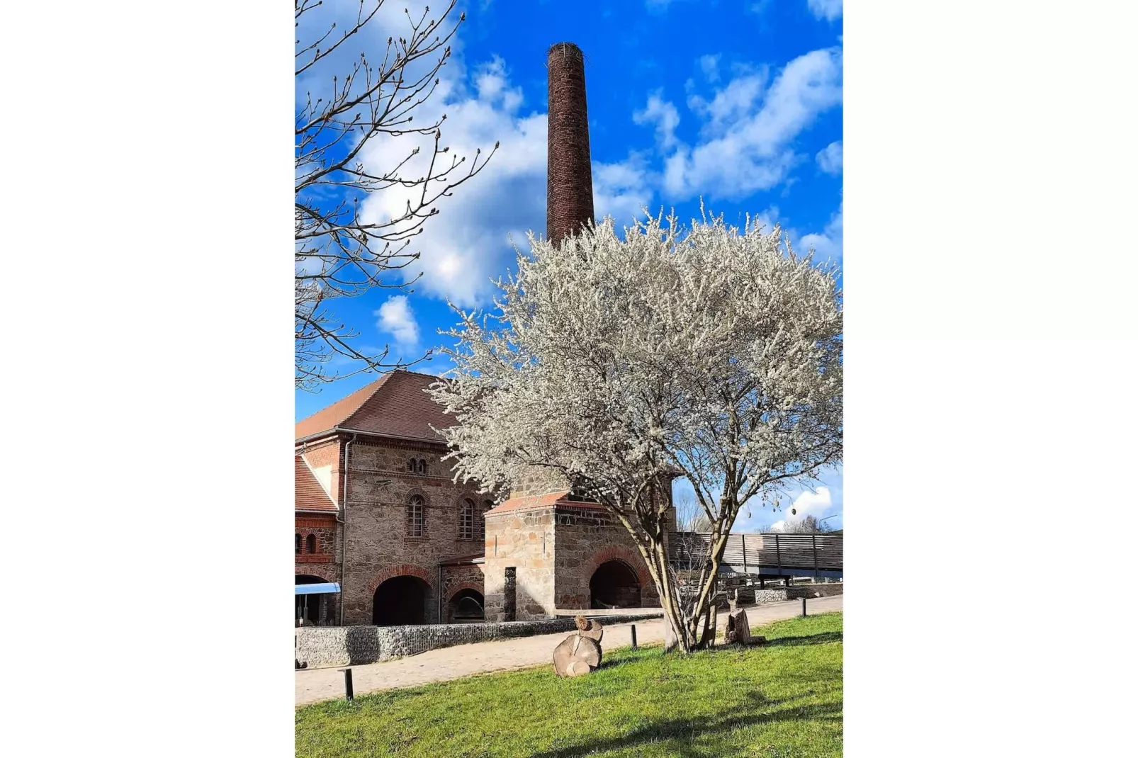 TH3 1P 40€(5) Schulz - Uitzicht zomer