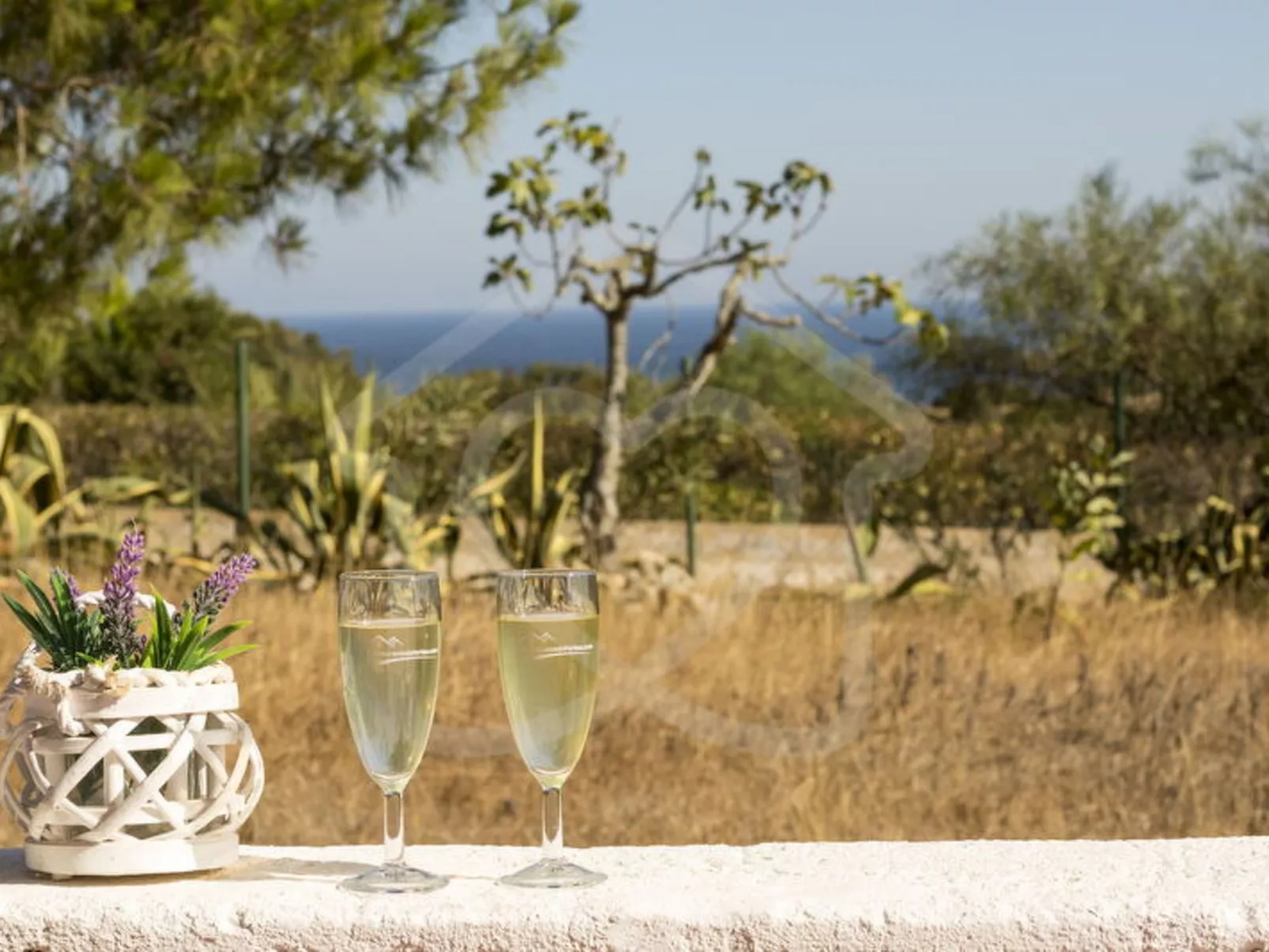 V3 Praia Da Marinha - Image-tags.info