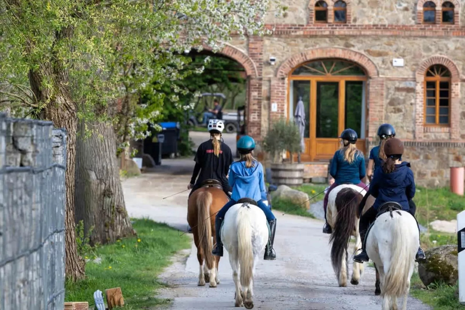 212 Appartement - Gebieden zomer 1km