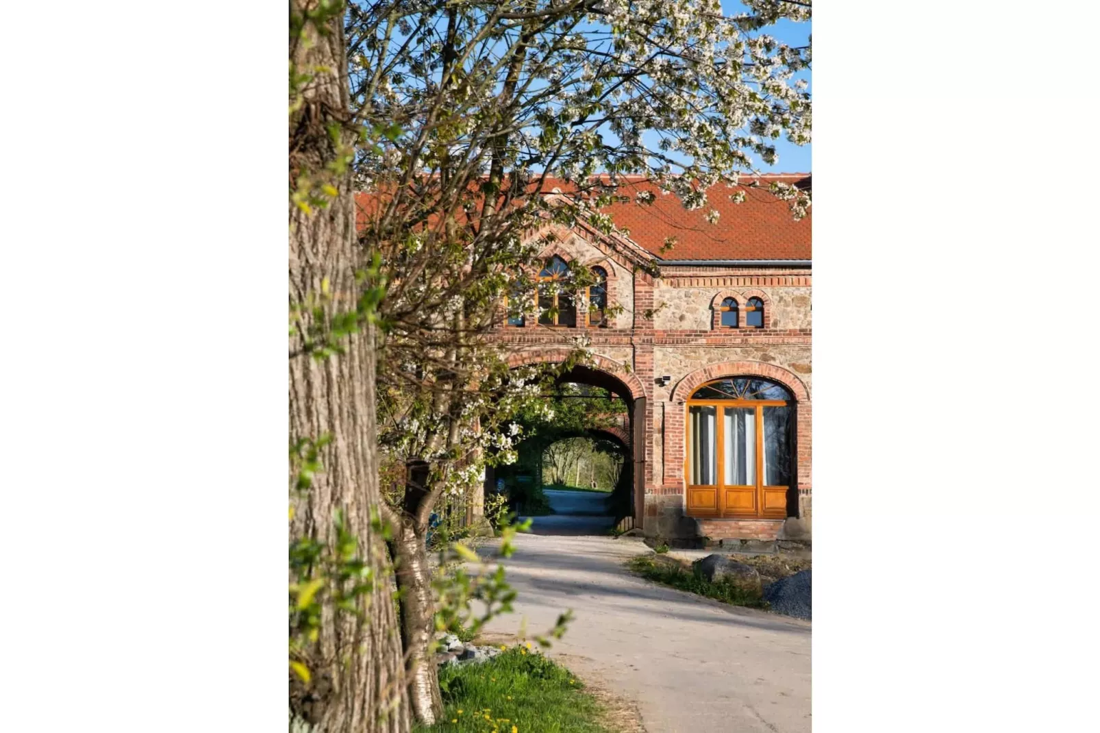 521 1P 40€(6) Schulz - Buitenkant zomer