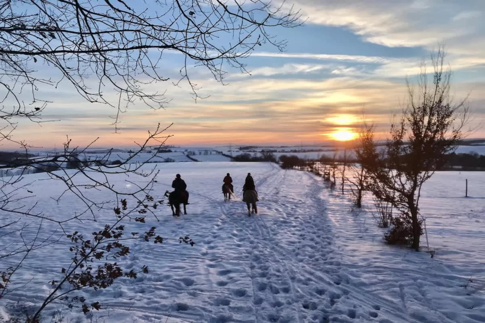 611 - Gebied winter 1km