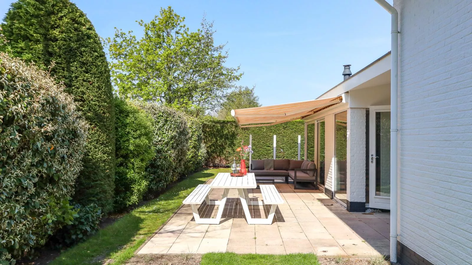 Zilte Iep - Tuinen zomer