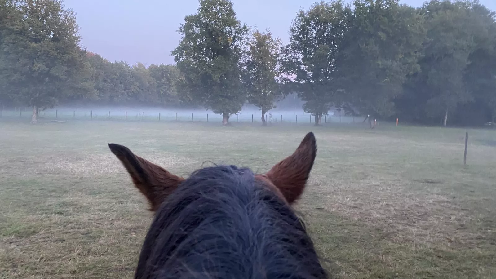 Huuske 16 - Gebieden zomer 1km