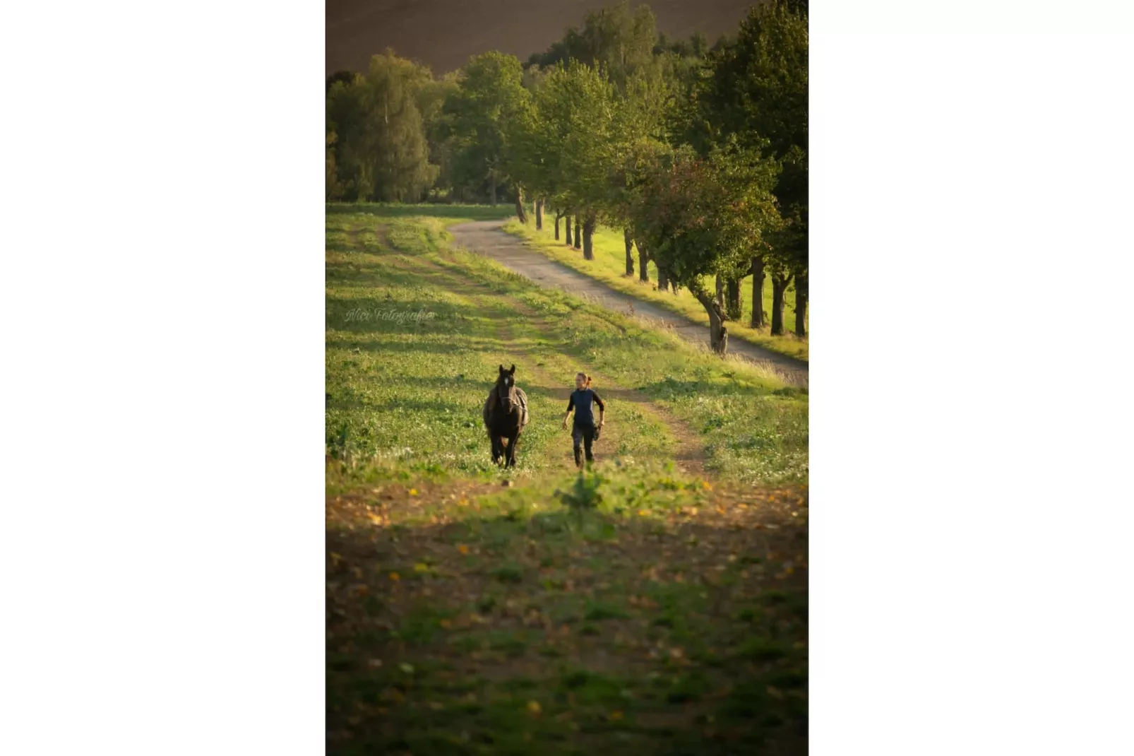 TH3 1P 40€(5) Schulz - Gebieden zomer 1km