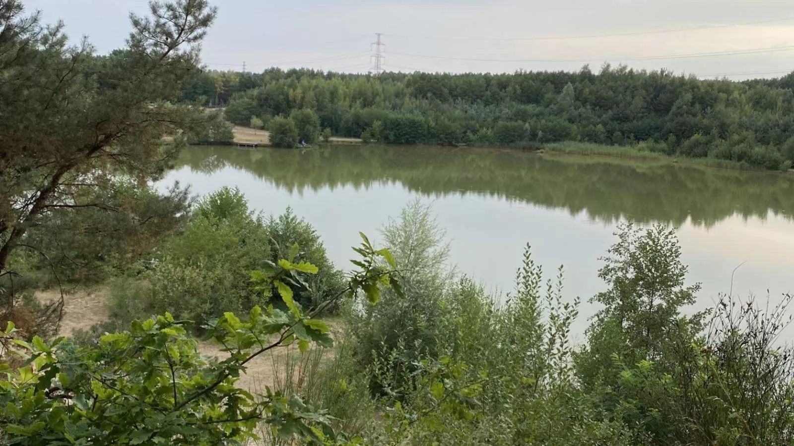 Huuske 16 - Gebieden zomer 1km