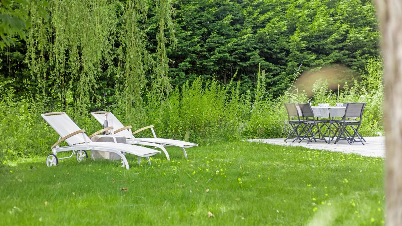 Olmenhof - Tuinen zomer