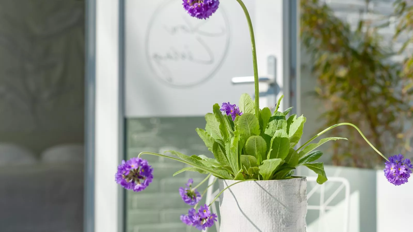 Duinsuite - Tuinen zomer