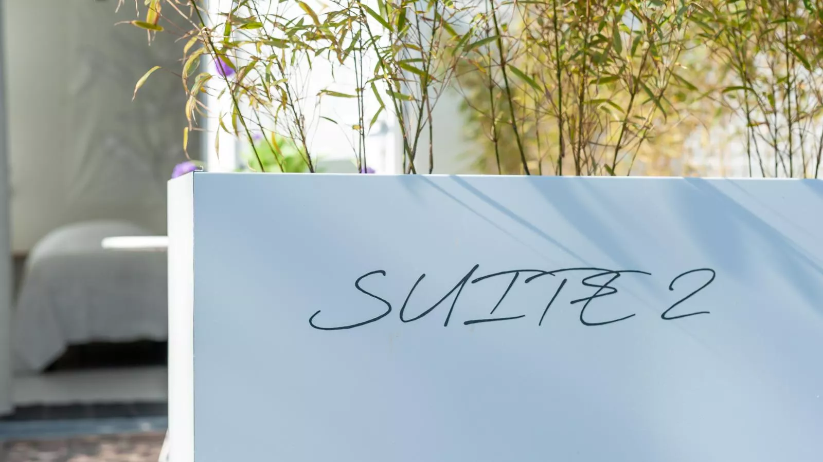 Duinsuite - Buitenkant zomer