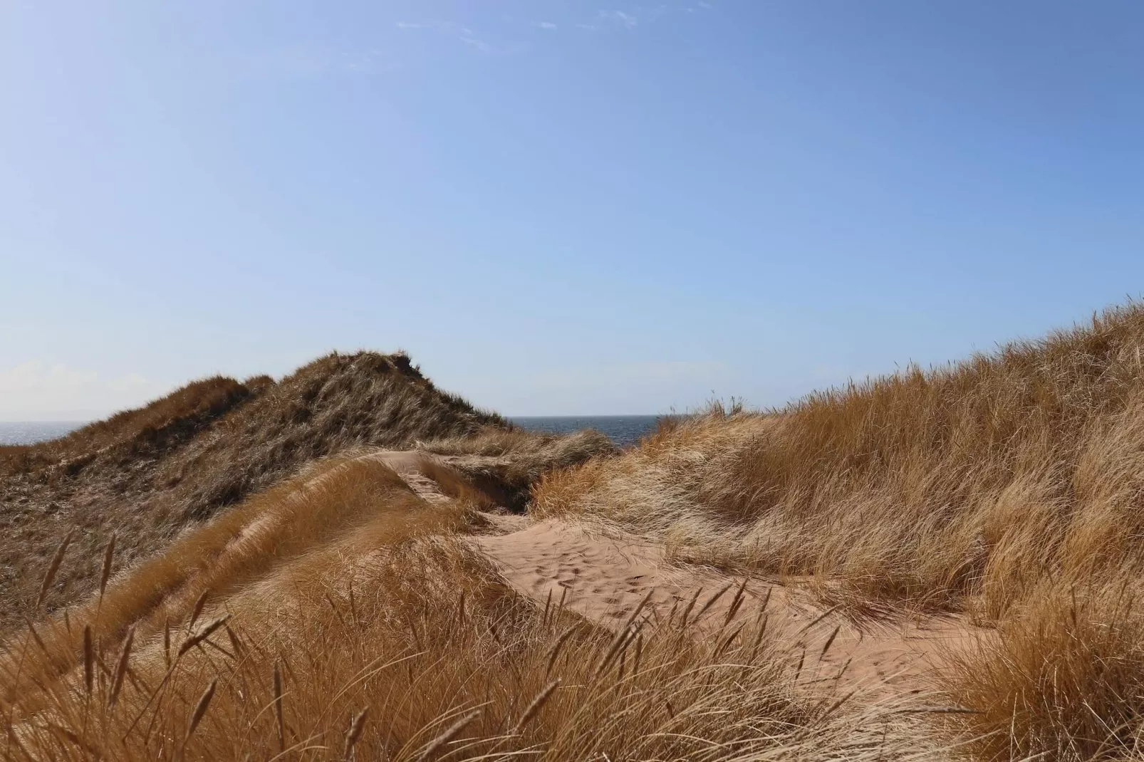 4 sterren vakantie huis in ELDSBERGA - Niet-getagd