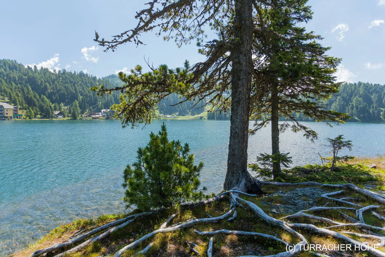 Naturchalets Turracher Höhe 2-Gebieden zomer 5km