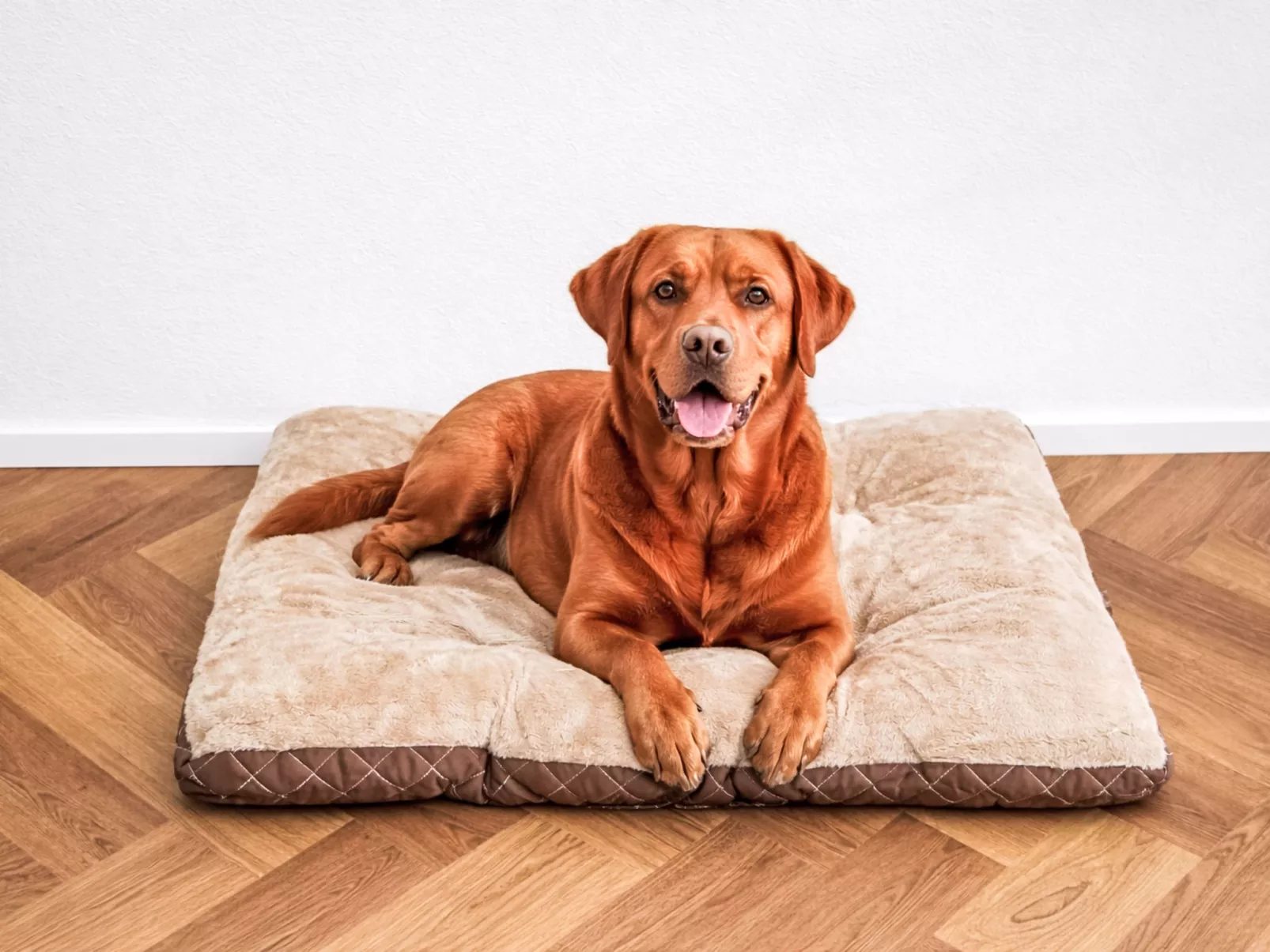 Haus zum Hecht - Binnen