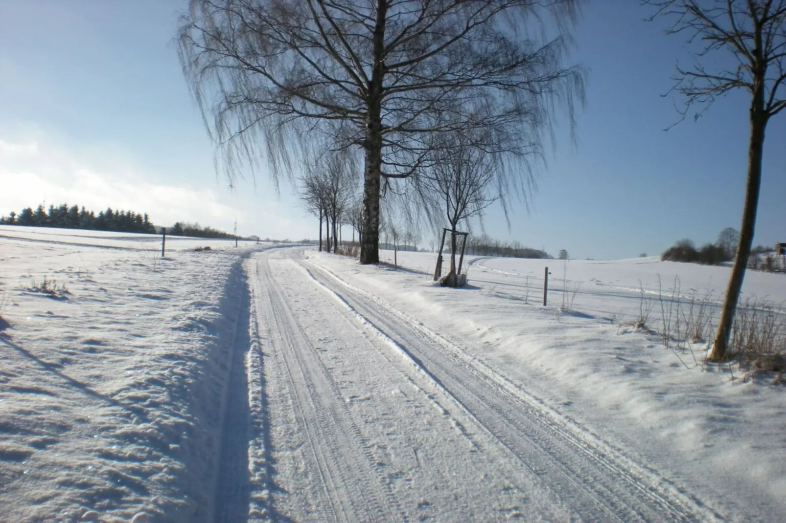 311181 - Gebied winter 1km