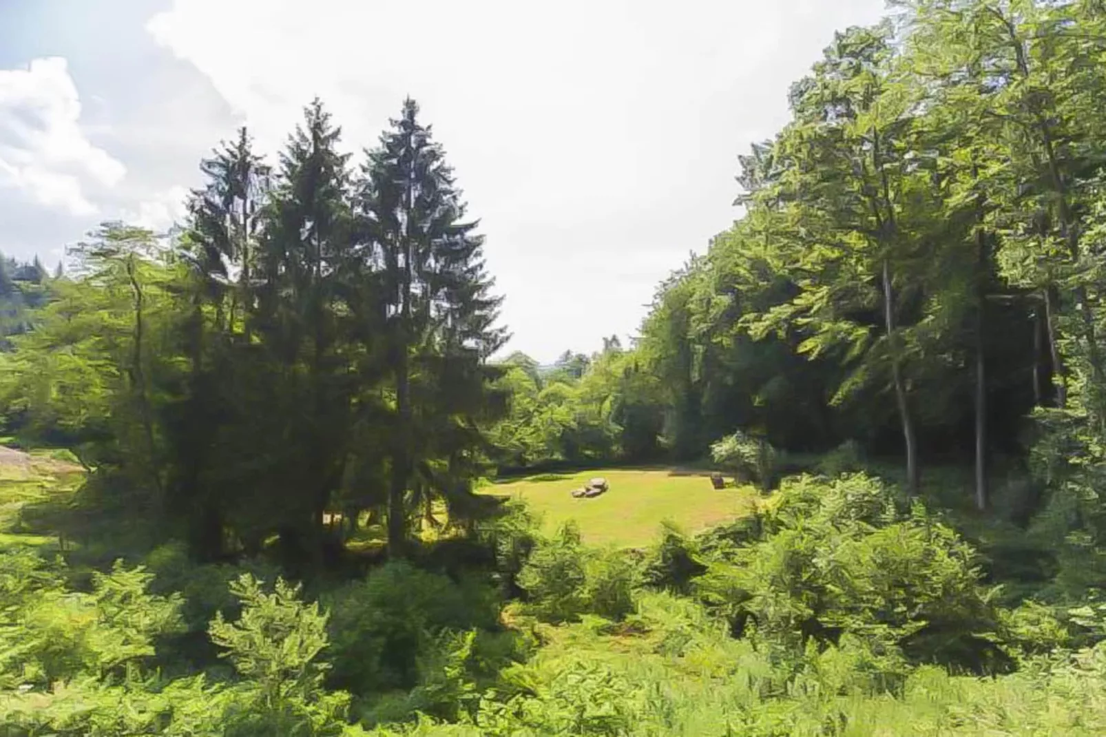 Landhuis la Forêt - Gebieden zomer 5km