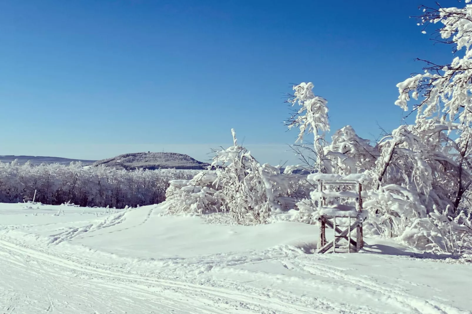 311181 - Gebied winter 5km
