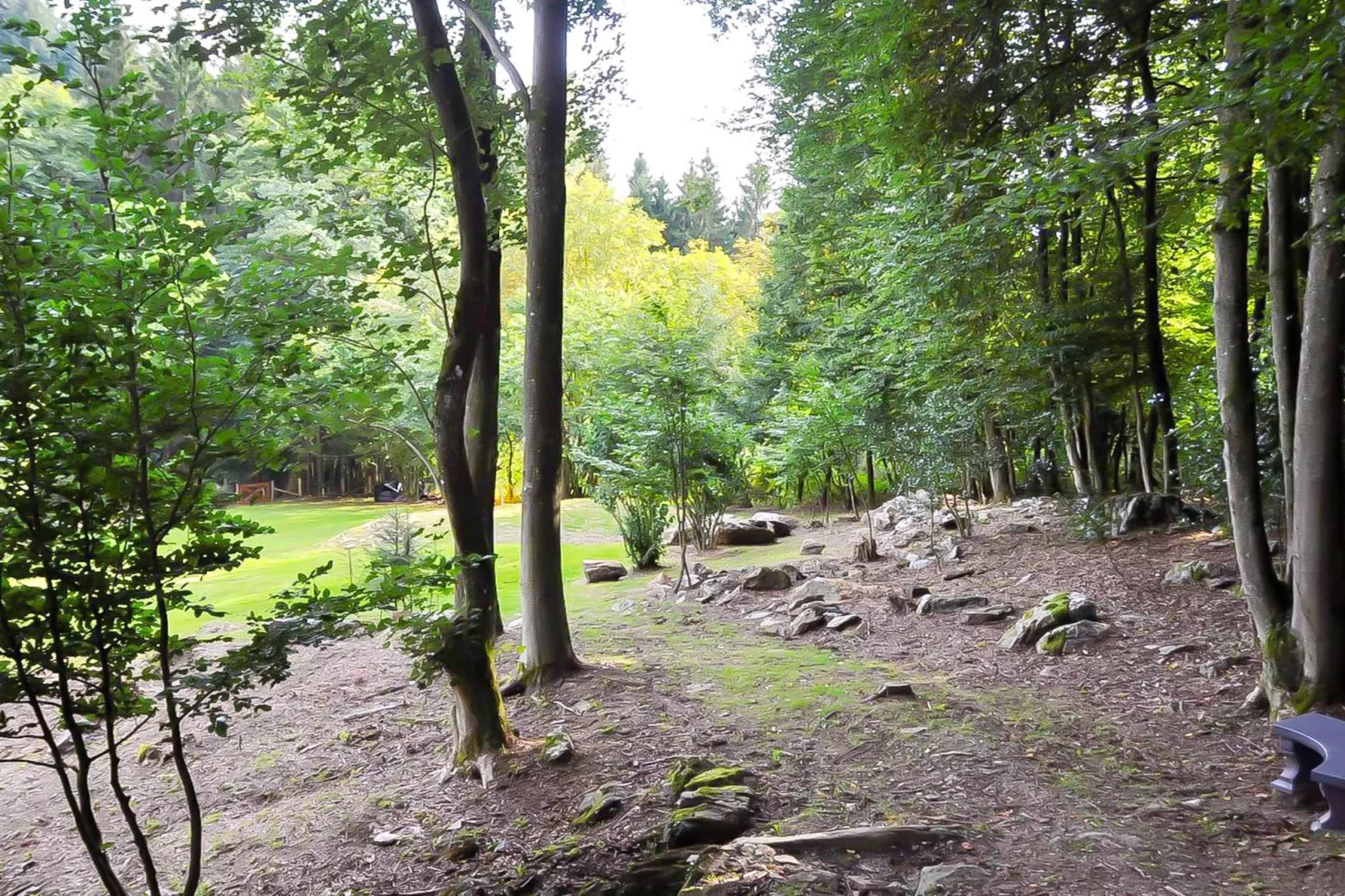 Landhuis la Forêt - Gebieden zomer 5km