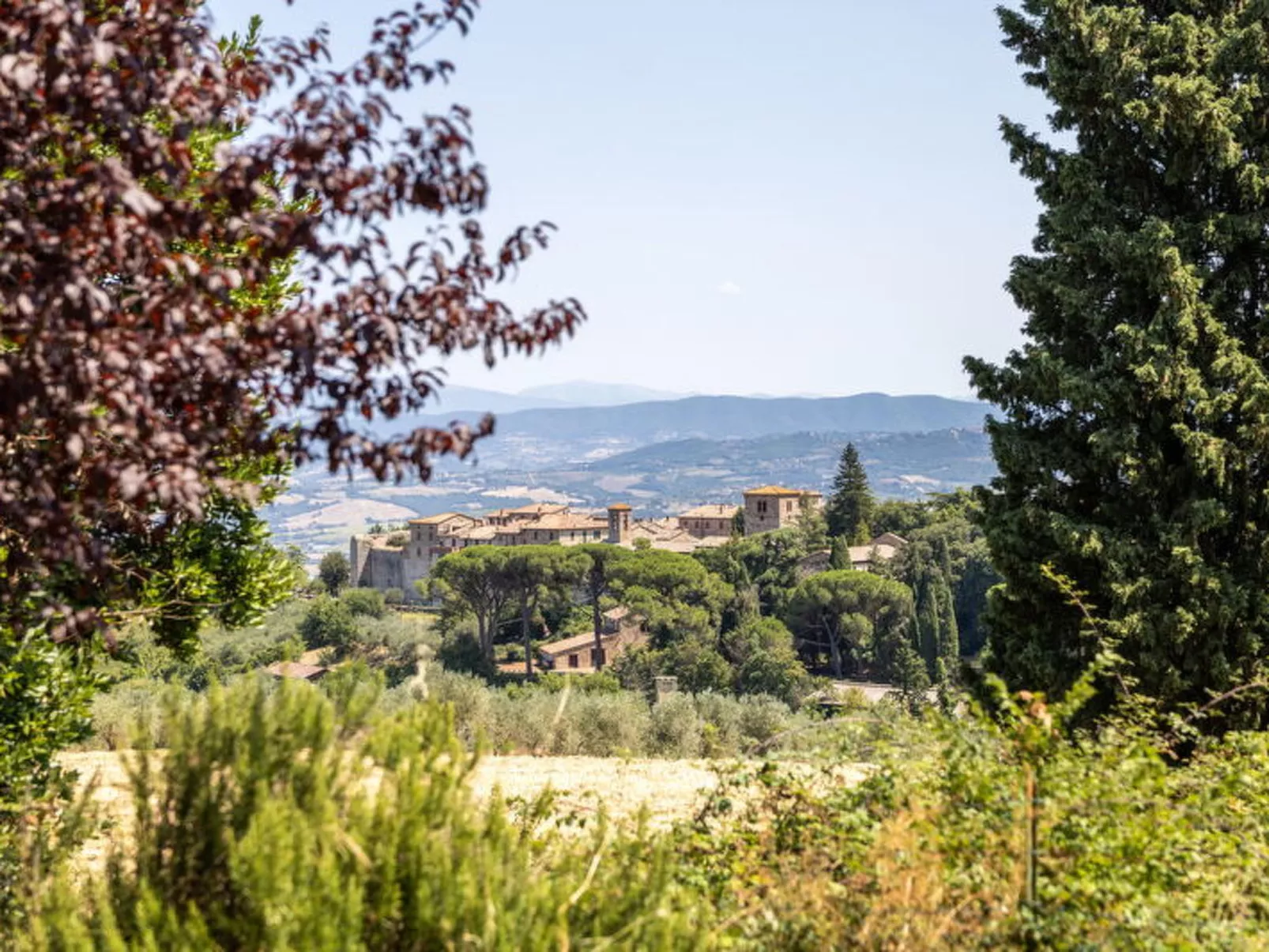 Poggio Padule - Buiten