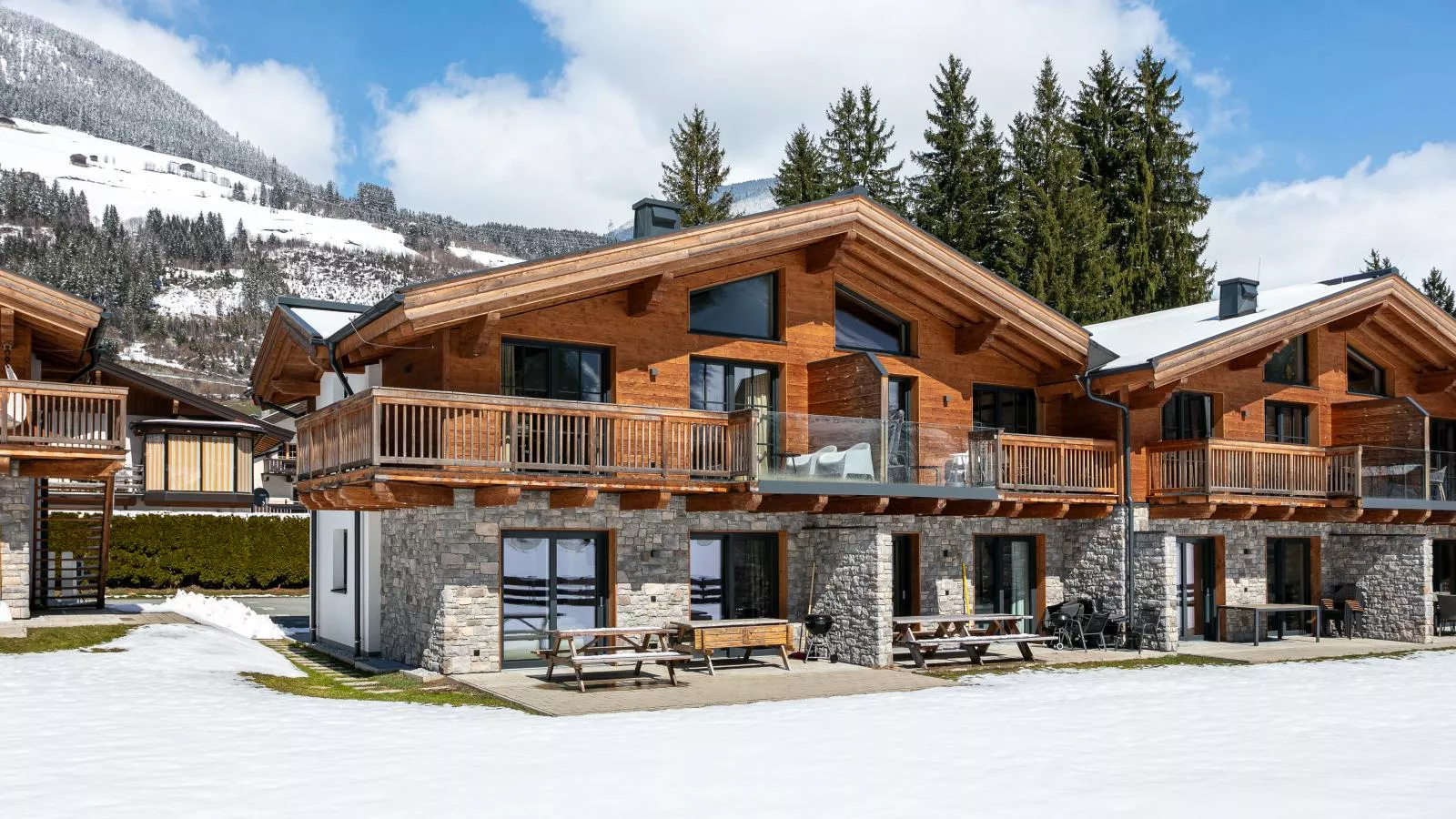FIIF Pinzgau - Exterieur winter