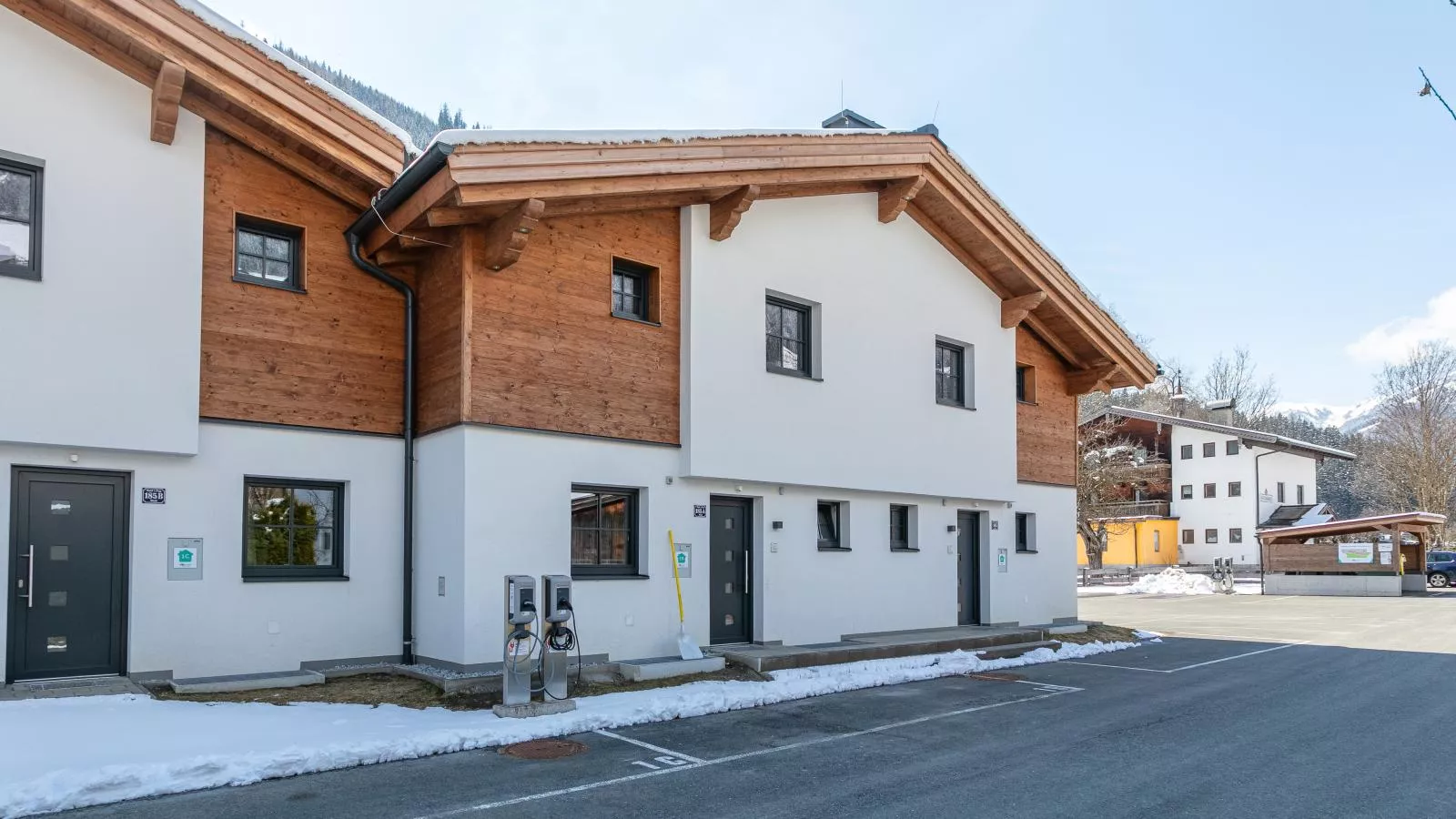 Pinzgau Lodge 1B - Exterieur winter