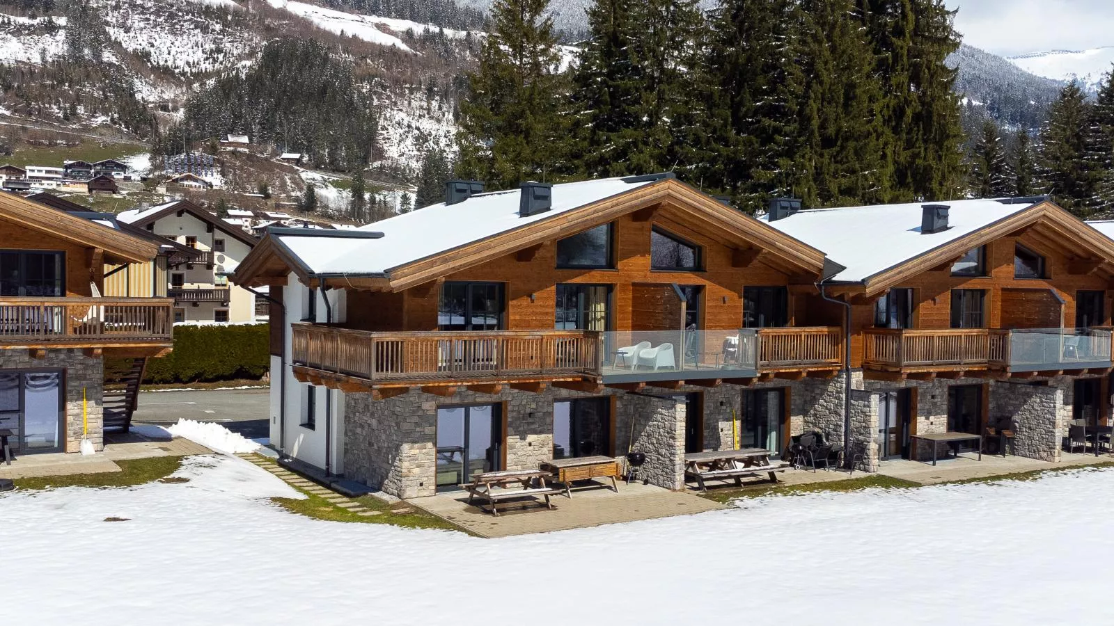 FIIF Pinzgau - Exterieur winter