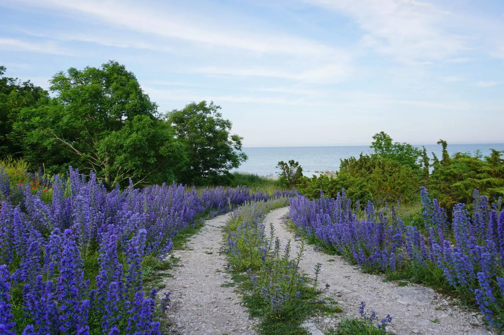 4 Personen vakantie huis in Hemse - Niet-getagd