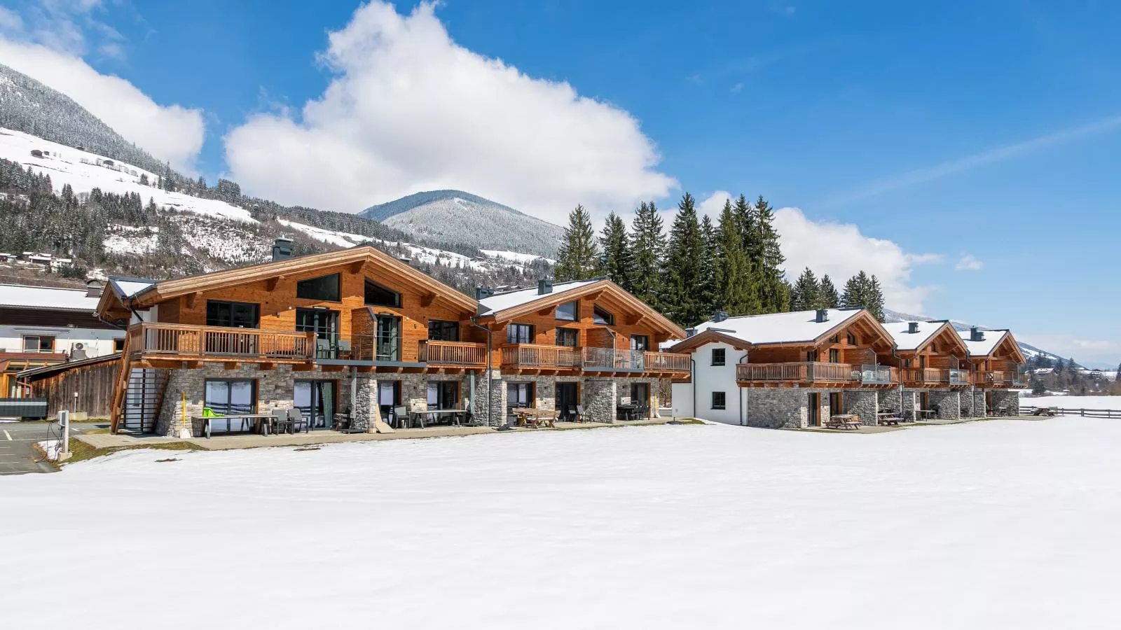 Pinzgau Lodge 1A - Exterieur winter