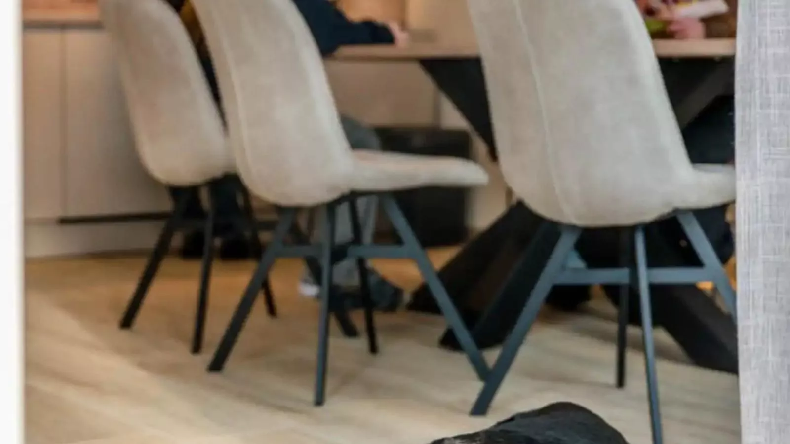 Het Groene Dak - Eetkamer