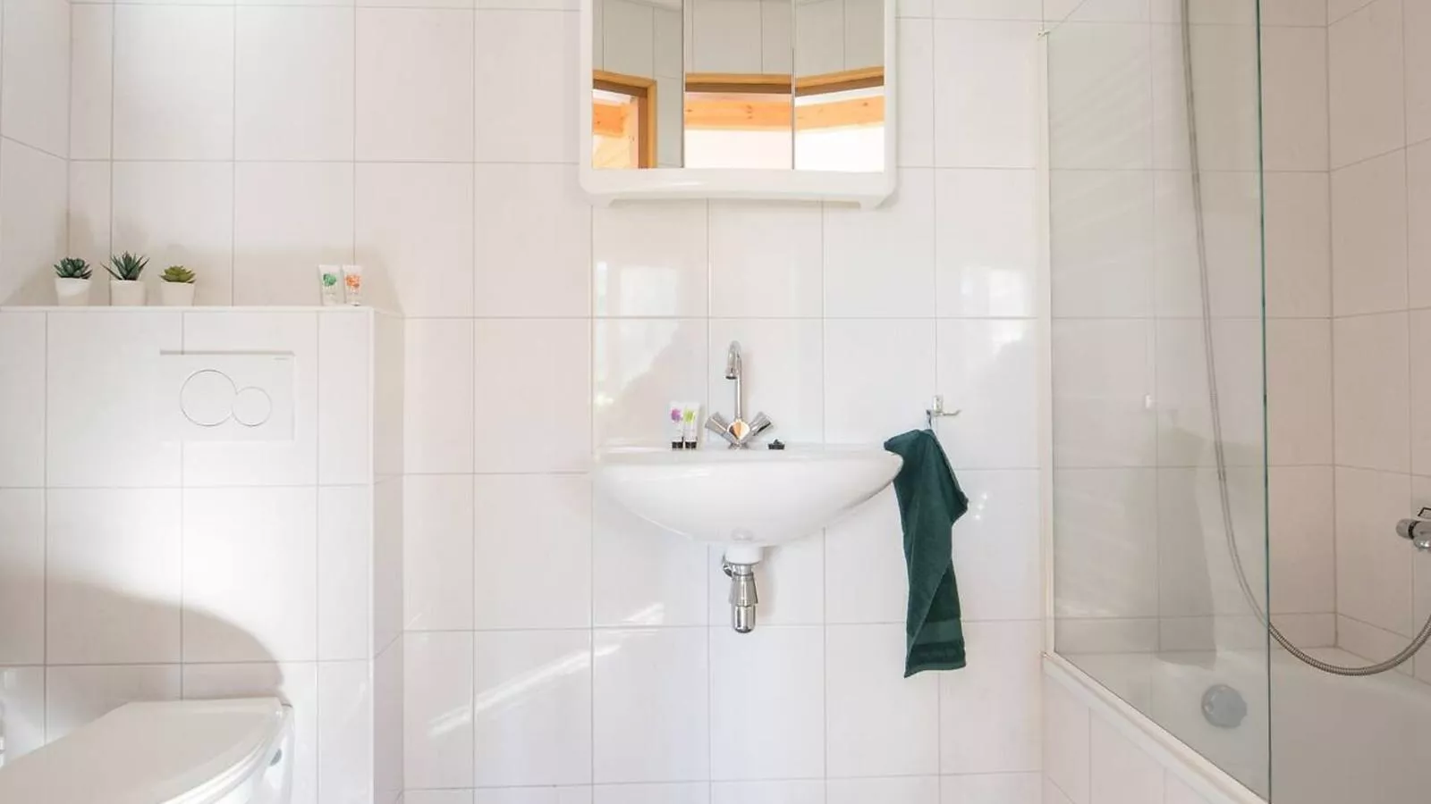 De Visvijver - Badkamer